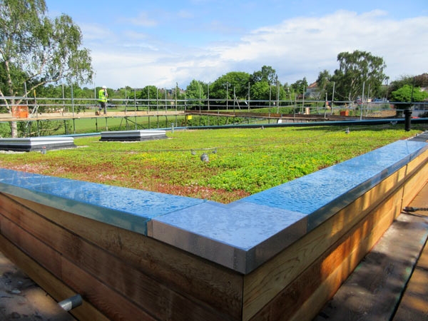 Barnet's new countryside headquarters green roof