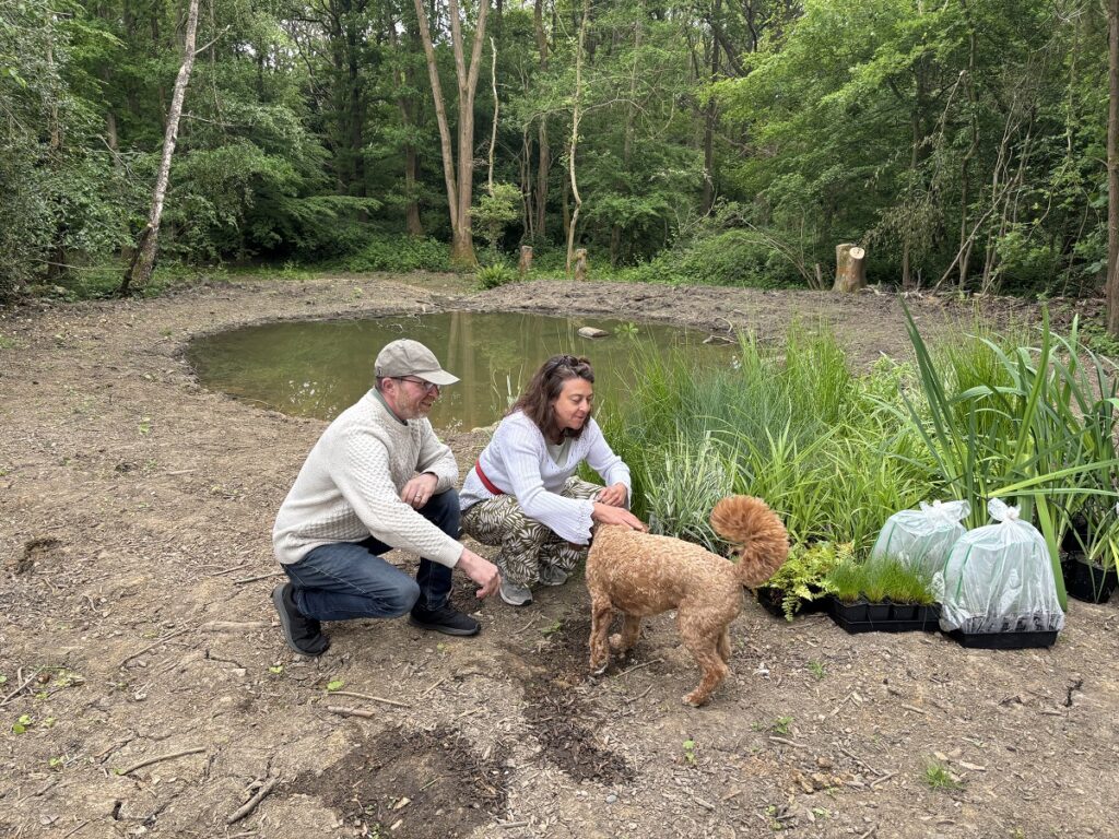 Wetland habitat is being created within woodland on Monken Hadley Common after Enfield complete flood drainage work in Parkgate Avenue.