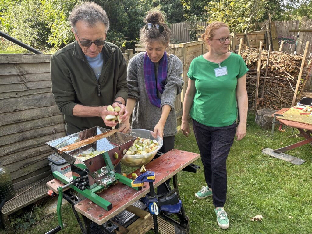 Campaigning group Incredible Edible organises apple juicing day at New Barnet to take advantage of bumper crop of apples and pears