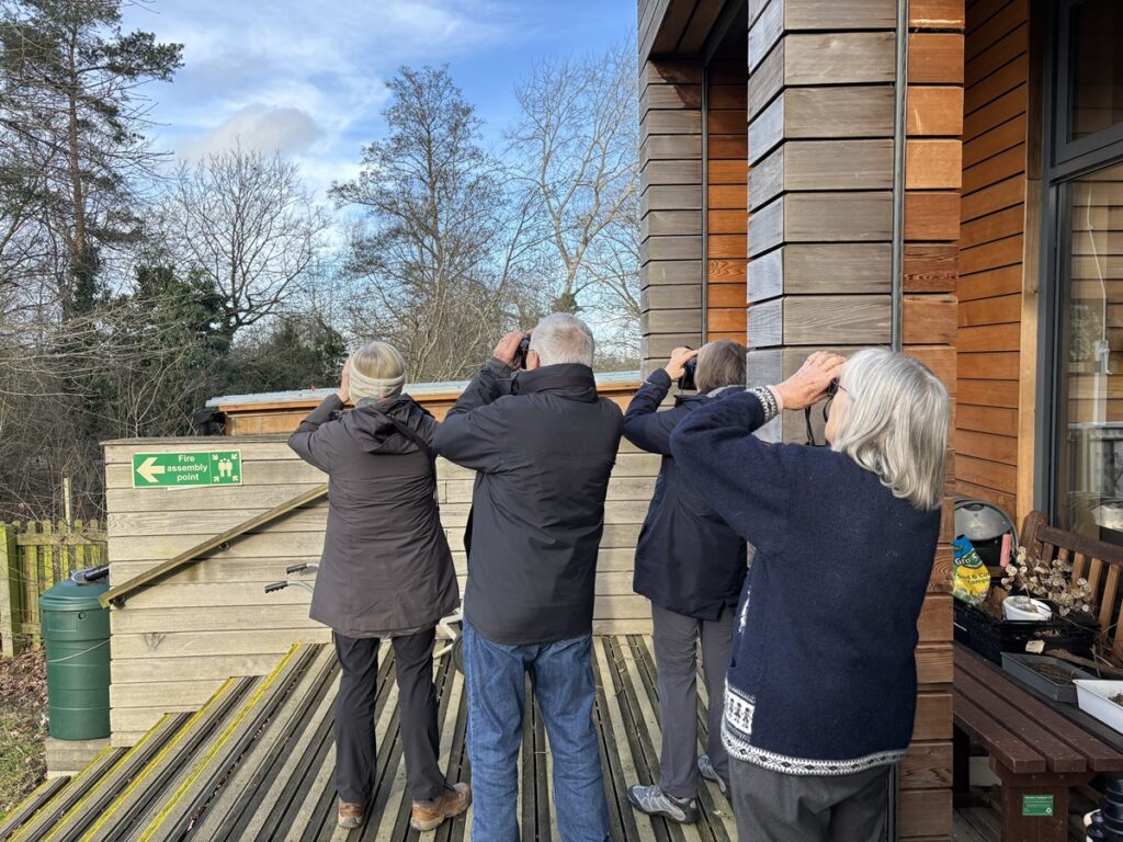 RSPB Big Garden Bird Watch at Barnet Environment Centre records 13 different species including a great spotted woodpecker sparrow hawk