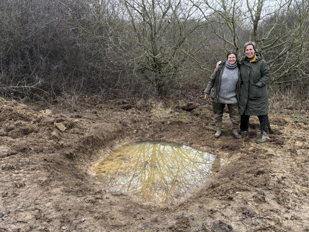 The Green Wellbeing Hub, in Mays Lane, Barnet, an outdoor centre for activities for young people, is adding new attractions such as a community orchard and biodiversity pond.