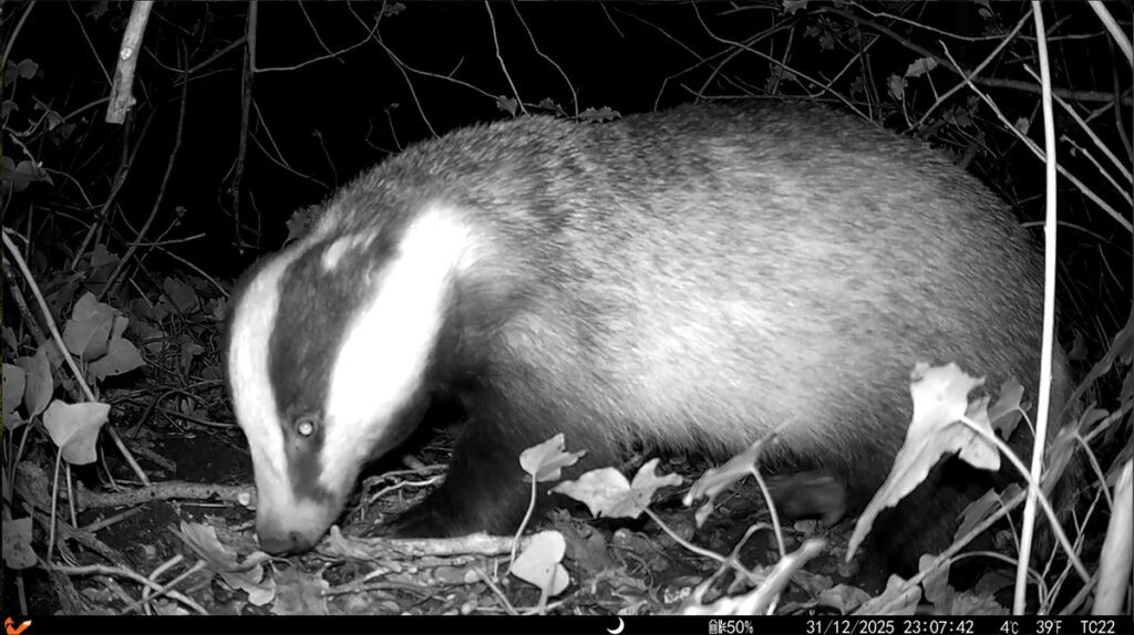 Application for house in wood close to Hadley Green has been rejected by Barnet Council because it would unacceptable harm to a woodland habitat.