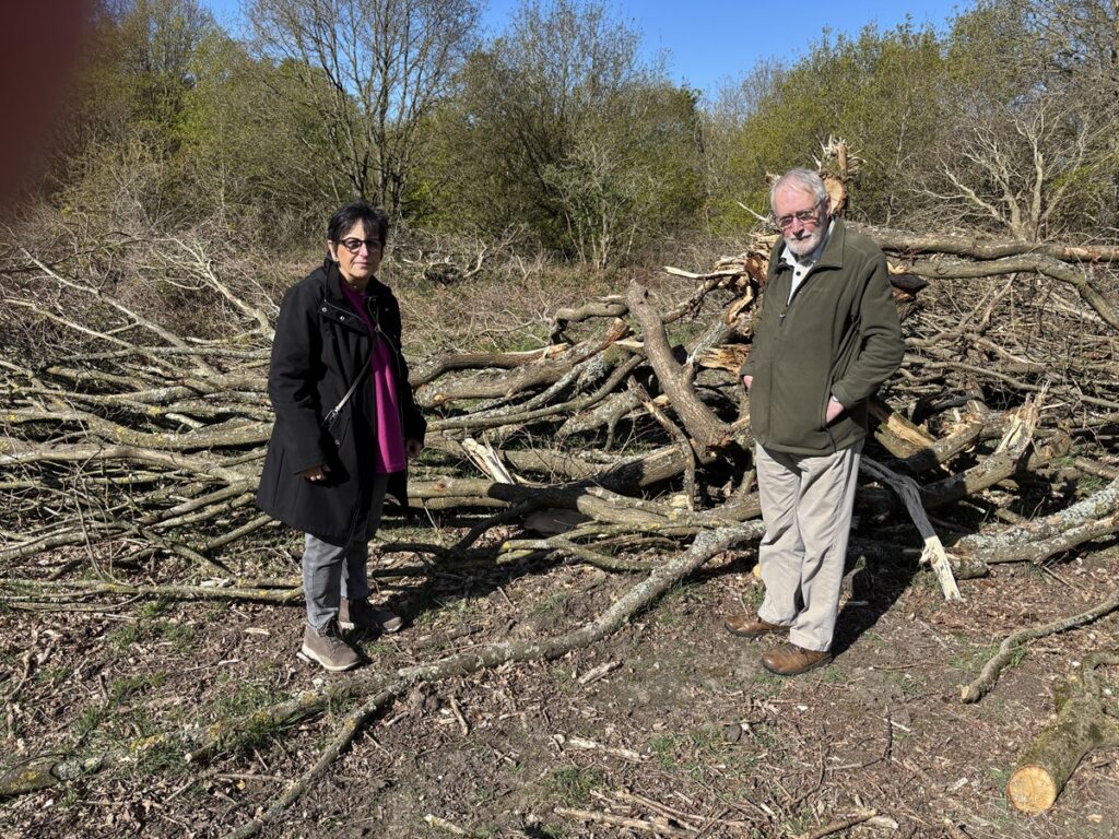 ITV News London to feature controversial plan for massive new housing estate in Arkley as part of report into political row over green belt land ahead of council elections.