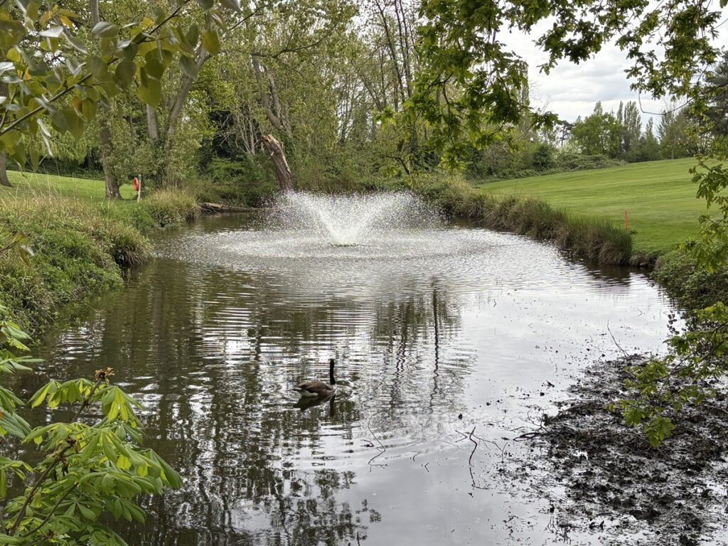 Two ponds along Blacketts Brook at Friern Barnet golf course to be enlarged to alleviate flooding after heavy rainfall
