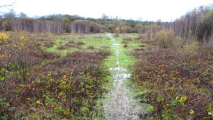 view of derelict Green Belt land near Stirling Corner