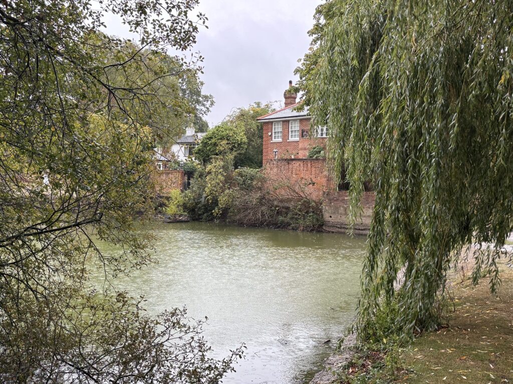 London Fire Brigade adds mains water to Hadley Green Brewery Pond after dead fish found on the surface. Anglers hope water in Totteridge Long Pond can be topped up too.