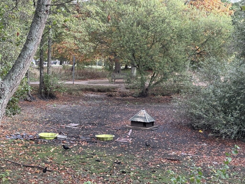 Carcases of fish awaiting disposal after being removed from Brewery Pond on Hadley Green after dying through lack of oxgen following drop in water lelvel due to summer drought