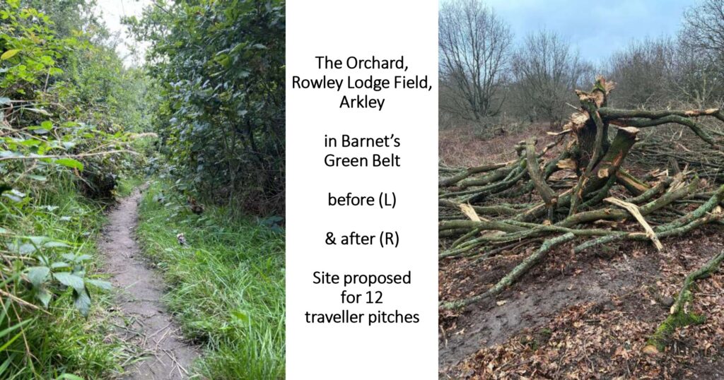 The Orchard, Rowley Lodge Field, Arkley: views before, of unspoilt nature, and after, of illegally felled trees