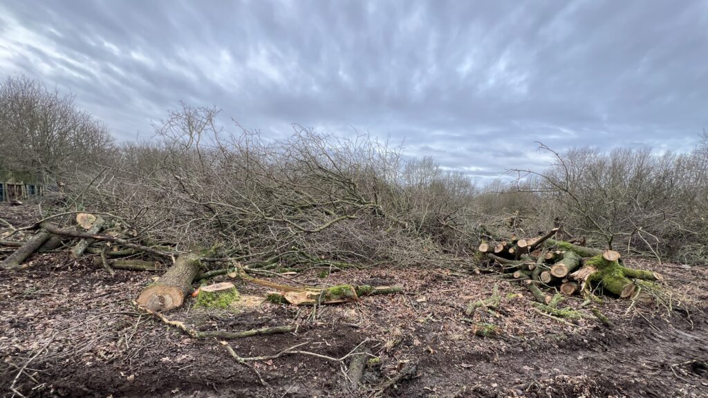 Deadline looms to comment on planning application for ‘protected’ site in Arkley
